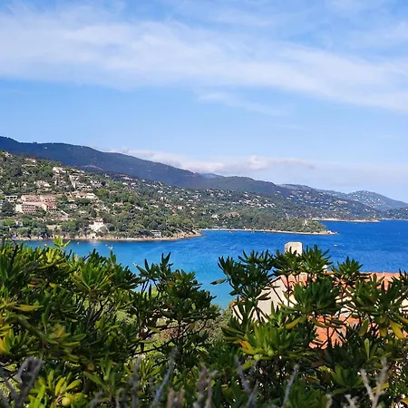 Charmant T2 Neuf Au Lavandou, Proche Plages Et Centre, 4 Couchages, Parking, Clim, Terrasse - Fr-1-677-33 Apartment *