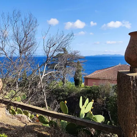 Apartment Charmant T2 Neuf Au Lavandou, Proche Plages Et Centre, 4 Couchages, Parking, Clim, Terrasse - Fr-1-677-33 Le Lavandou