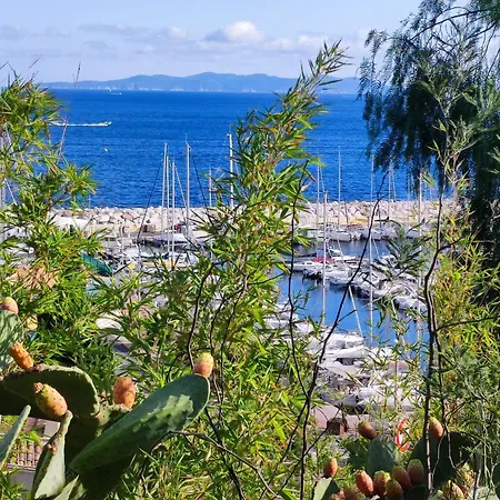 Apartment Charmant T2 Neuf Au Lavandou, Proche Plages Et Centre, 4 Couchages, Parking, Clim, Terrasse - Fr-1-677-33