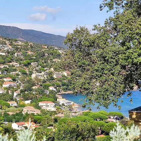 Charmant T2 Neuf Au Lavandou, Proche Plages Et Centre, 4 Couchages, Parking, Clim, Terrasse - Fr-1-677-33 *